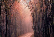 荷乙最新比分赛果有哪些看点？