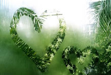 上海五星体育手机端能免费看直播吗？怎么操作？